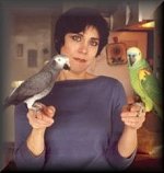Hanna with Jocko, the African Gray and Rex, the Blue-Fronted Amazon. Both birds owned by client, J.Wolfe